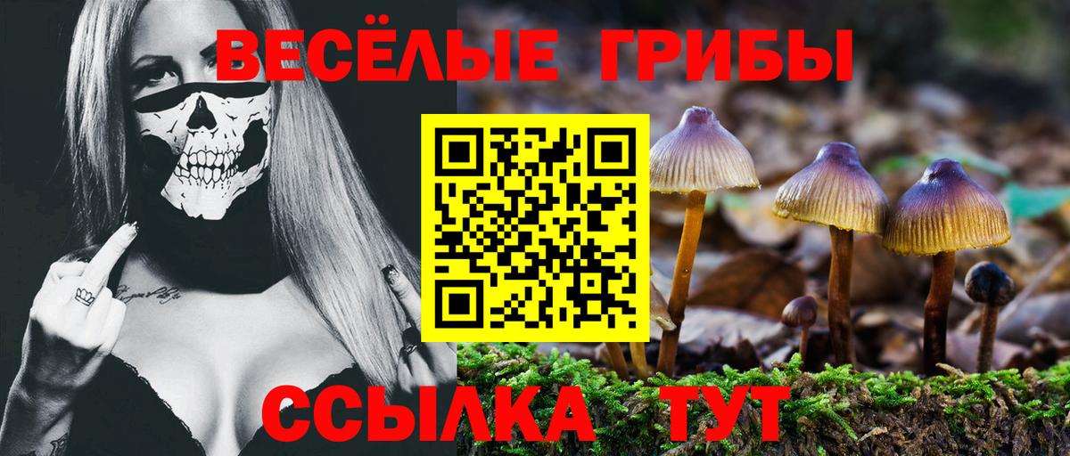 Черкесск  Галлюциногенные грибы MAGIC MUSHROOMS  Вход с VPN  Псилоцибиновые грибы мицелий 